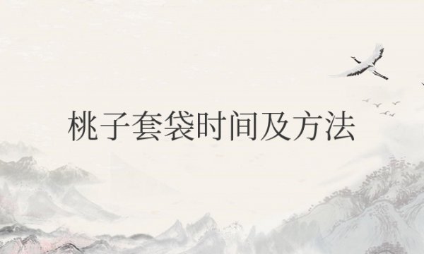 桃子套袋时间及方法