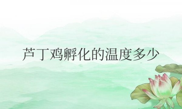 芦丁鸡孵化的温度多少合适