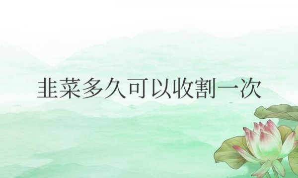 韭菜多久可以收割一次最好