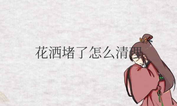 淋浴花洒堵了怎么清理小妙招