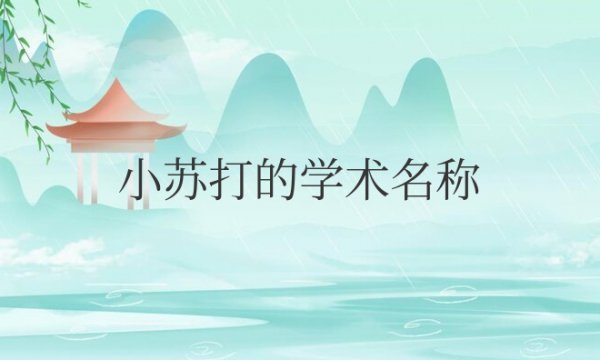 小苏打的学术名称是氢氧化钠吗