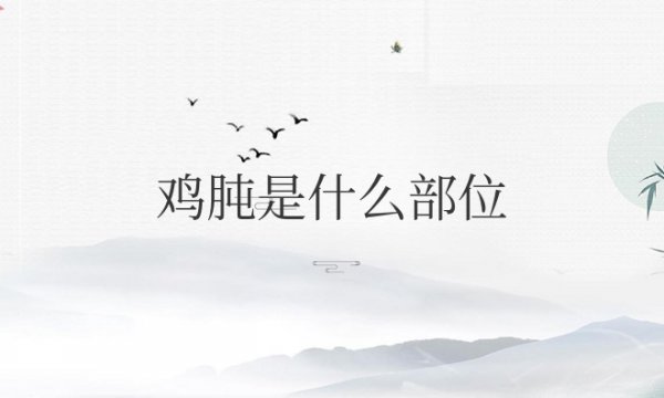 鸡肫是什么部位的名字