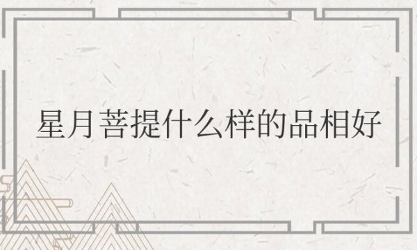 星月菩提什么样的品相好？有没有价值？