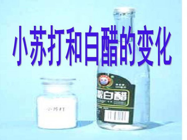 小苏打加白醋的化学反应原理