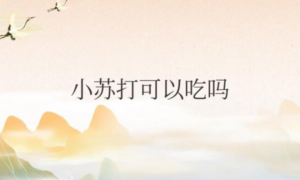 小苏打可以吃吗对身体有害吗