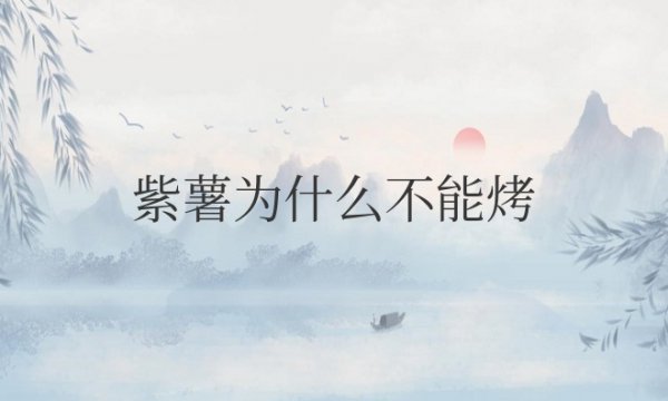 紫薯为什么不能烤着吃