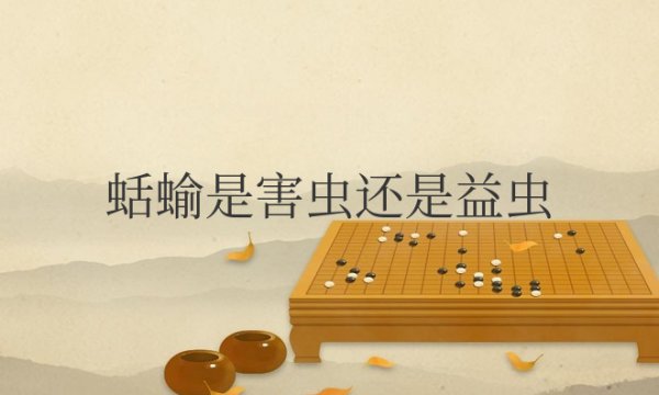 蛞蝓是害虫还是益虫