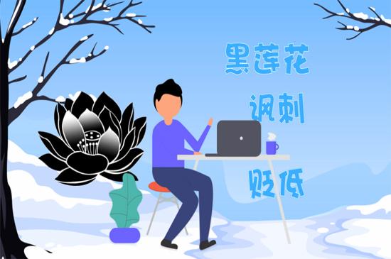 网络流行语黑莲花是什么意思