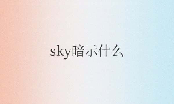 你知道sky什么意思网络用语