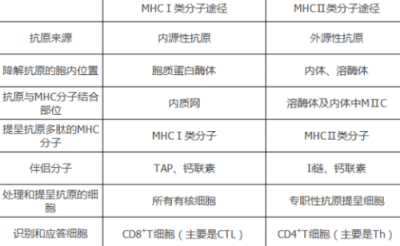 mhc1类和2类区别结构 功能和分布不同点