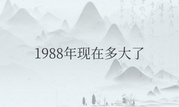 1988年现在多大岁数属什么