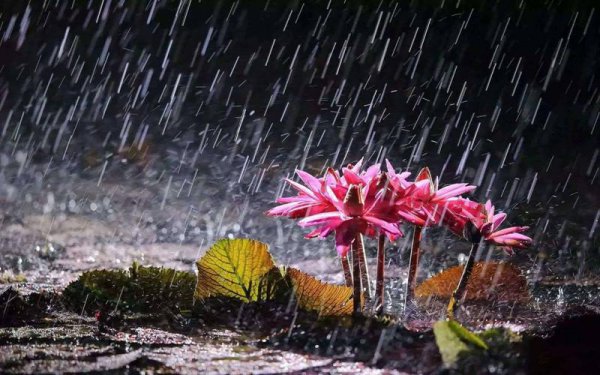 南方的梅雨季节是几月份到几月份