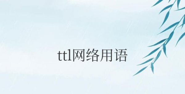 ttl网络用语怎么回复