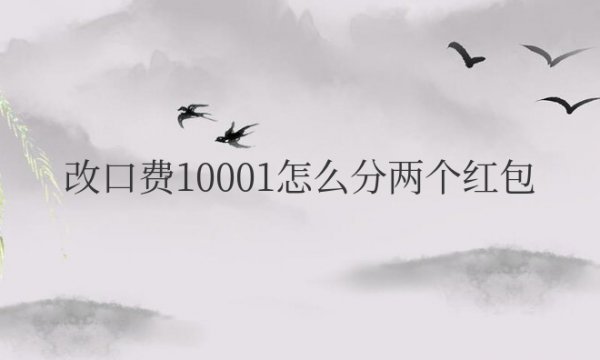 结婚改口费10001怎么分两个红包