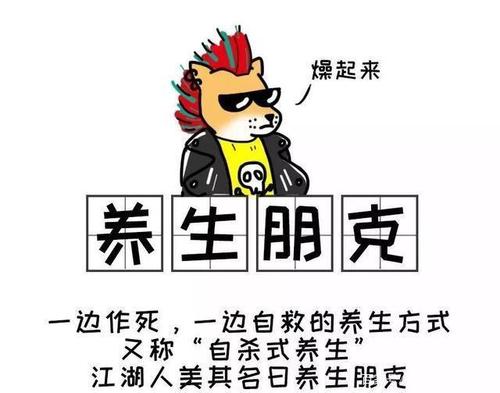 朋克养生什么意思