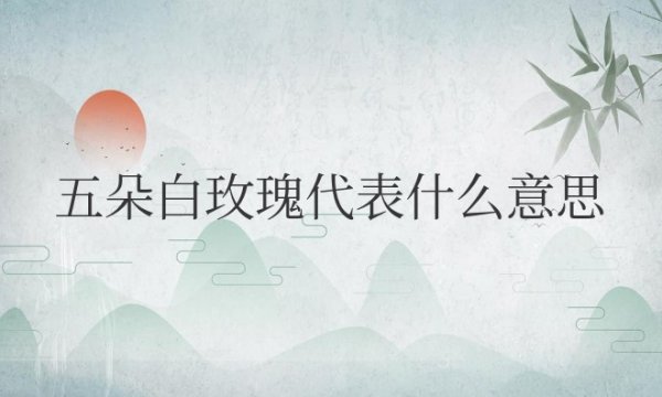 五朵白玫瑰代表什么意思