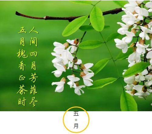 五月是一个什么样的季节