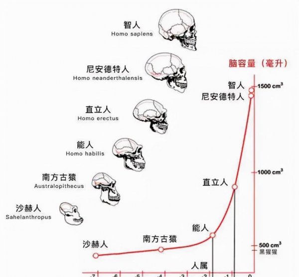 人类诞生的起源探索