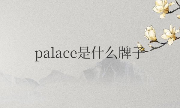 palace是什么牌子的衣服？属于什么档次的品牌？