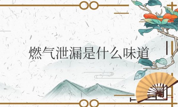 燃气泄漏是什么味道？是像油漆味吗？