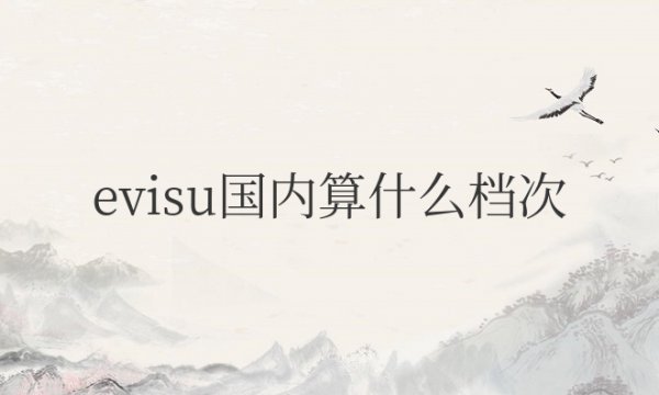 evisu国内算什么档次