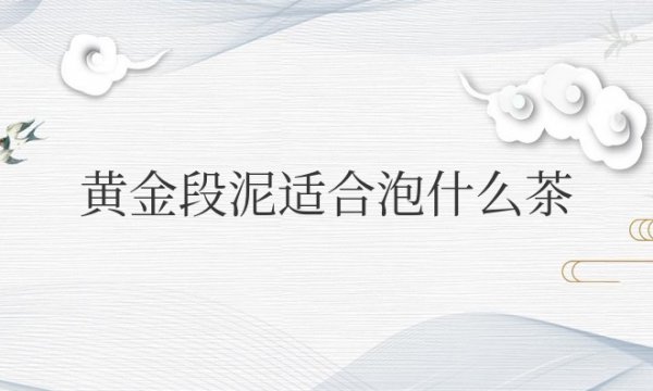 紫砂黄金段泥适合泡什么茶叶