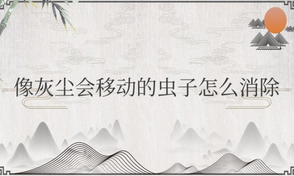 厨房里像灰尘会移动的虫子怎么消除