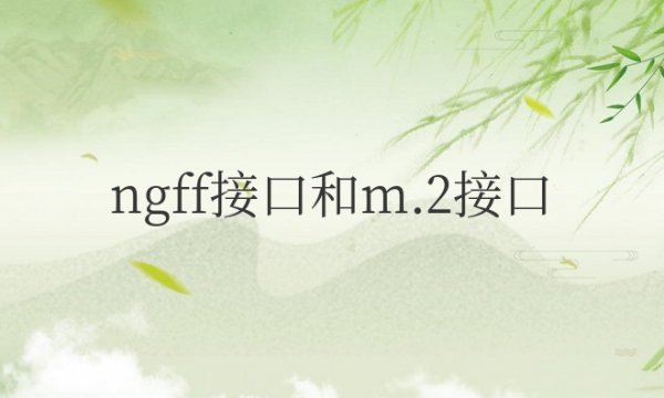 ngff接口和m.2接口通用吗？主要用在哪里？