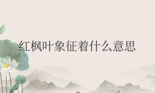 红枫叶象征着什么意思