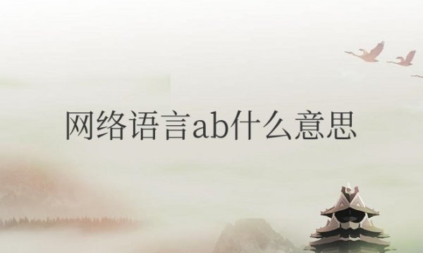 网络语言ab什么意思骂人