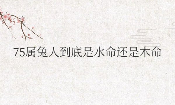 75属兔人到底是水命还是木命？运势如何？