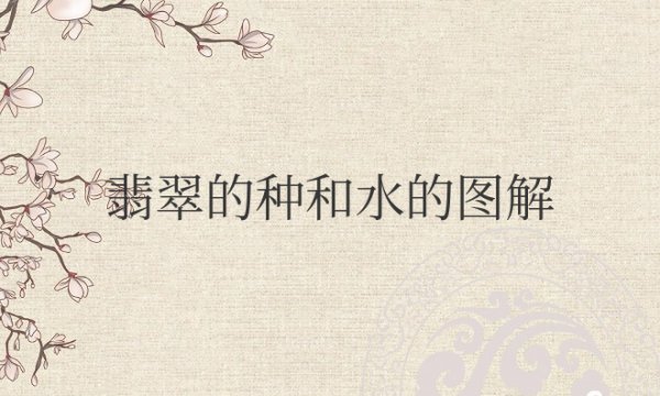 翡翠的种和水头是什么意思