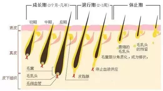 脱毛全攻略