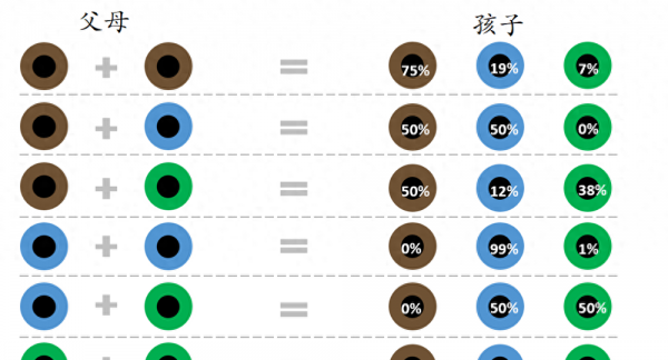 纯正的琥珀色眼睛是什么样的图片