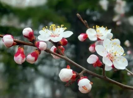 45-55岁最难熬阶段