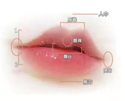 女生的唇形分几种