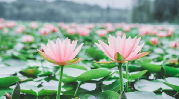 抠门的女人的心理特点