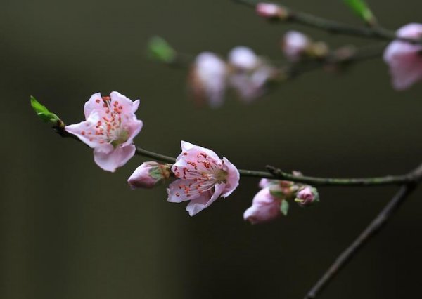 男人说女人俗气是什么意思