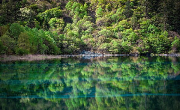 去九寨沟会有高原反应吗