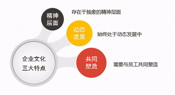 企业文化是什么，它的作用是什么