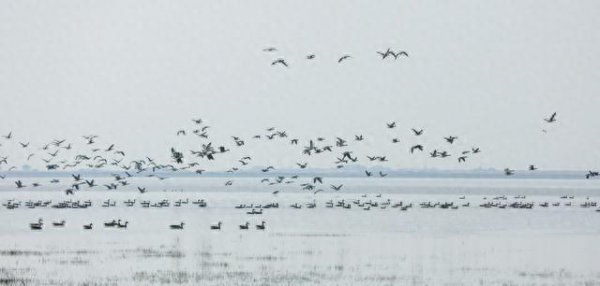 鄱阳湖位于什么省份