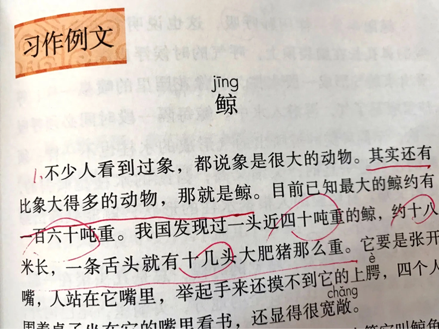 说明方法中的举例子是什么意思