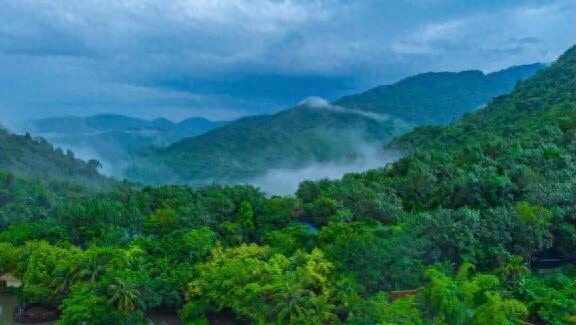 呀诺达热带雨林景点介绍