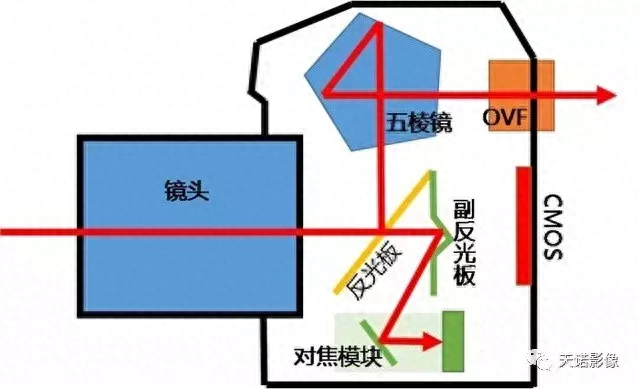 旁轴相机是什么意思