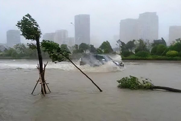 最大的台风排名