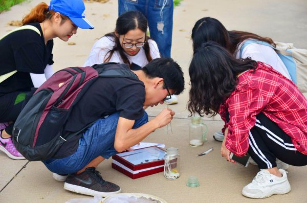 大学导师是什么意思