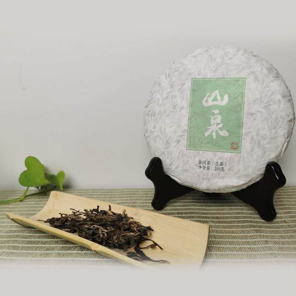 古树茶属于什么茶种