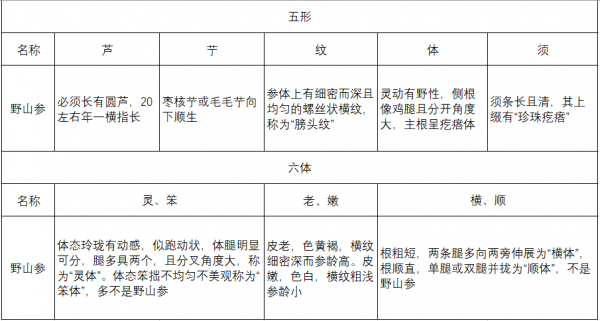 野山参怎么辨别真假