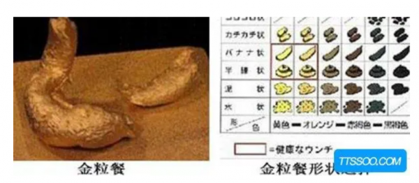 日本金粒餐是什么东西