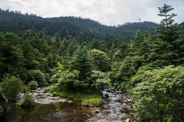 四川凉山州属于哪个市